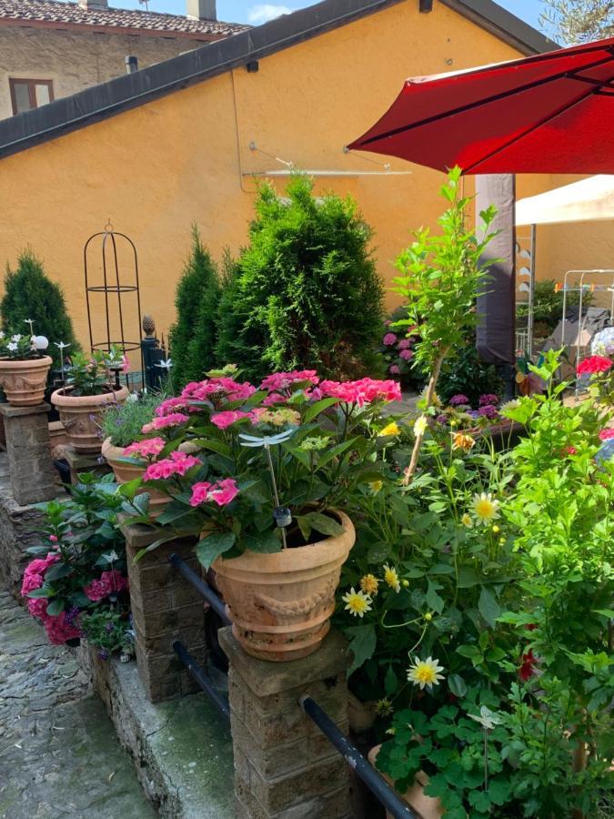 Ferienhaus, Rustico Auf Burg Locarno Exteriér fotografie
